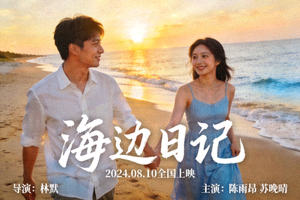 爱情电影《海边日记》海报：情侣海边漫步